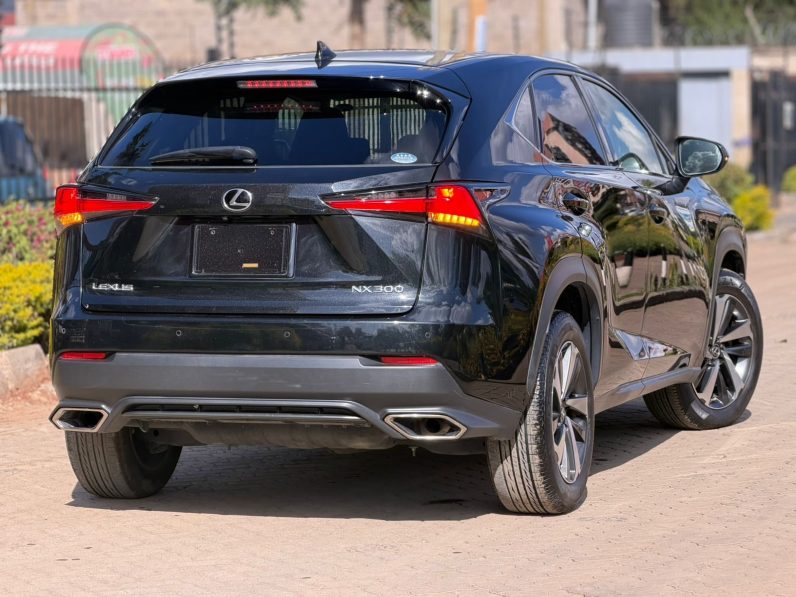 
								Lexus NX300 full									