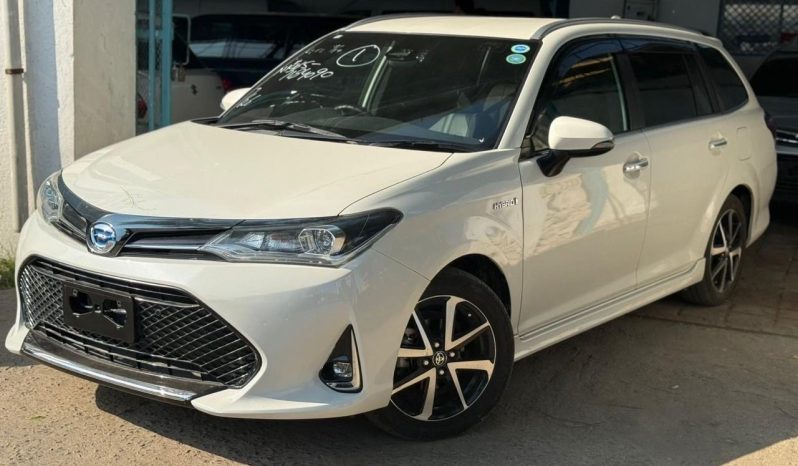 
								Toyota Fielder WXB full									