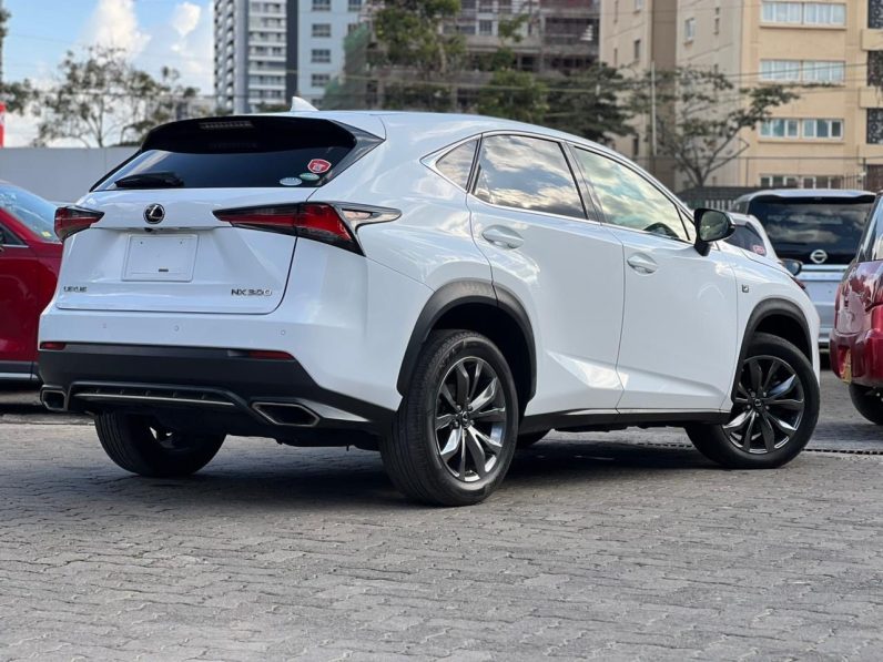 
								Lexus NX300 full									