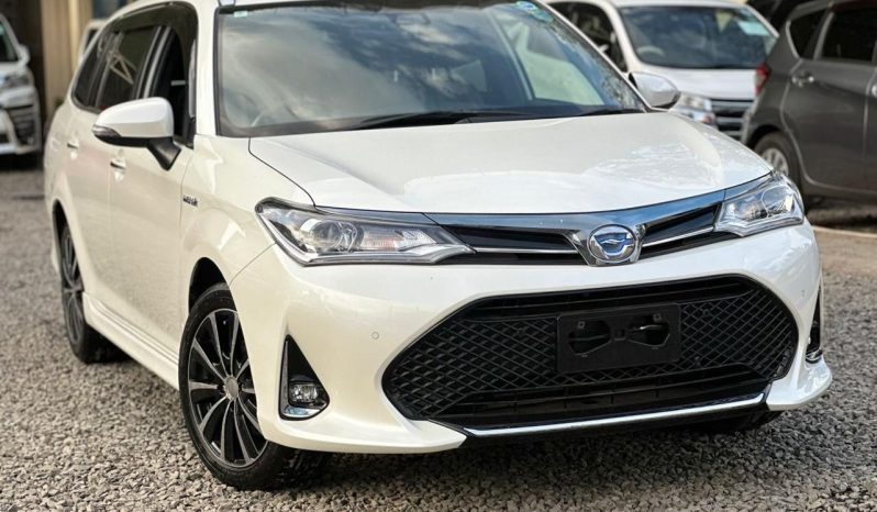 
								Toyota Fielder WXB full									