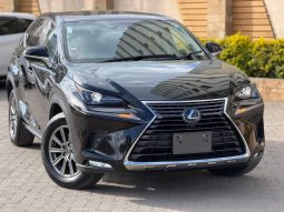 Lexus NX300