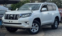 Toyota LandCruiser Prado TX