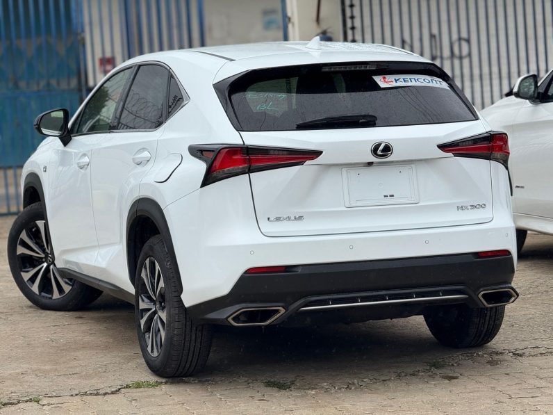 
								Lexus NX300 full									