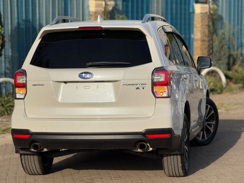 
								Subaru Forester XT full									