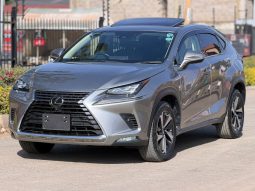 Lexus NX300