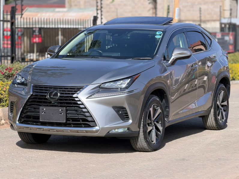 
								Lexus NX300 full									