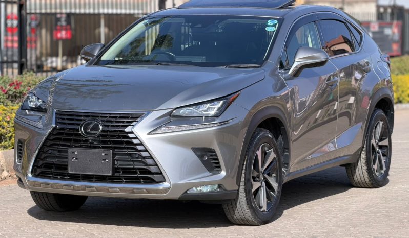 
								Lexus NX300 full									
