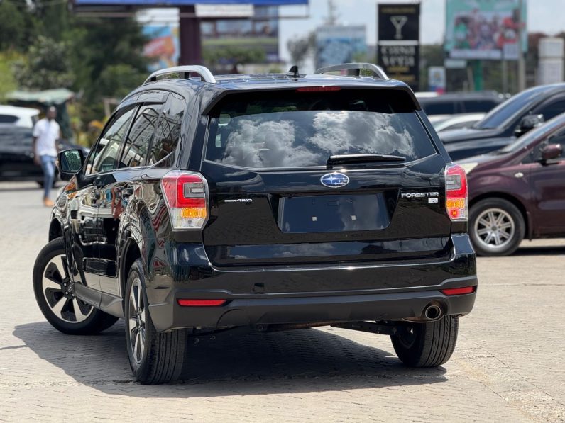 
								Subaru Forester full									