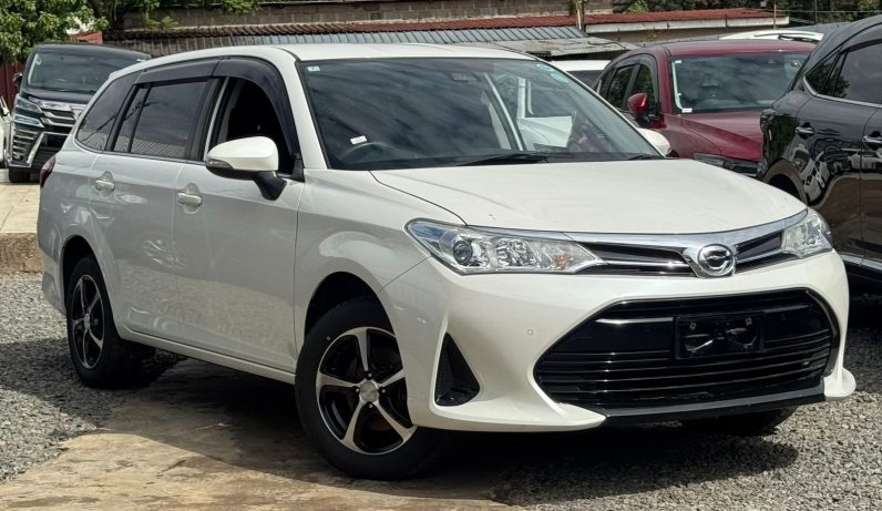 
								Toyota Fielder full									