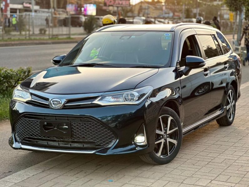 
								Toyota Fielder WXB full									