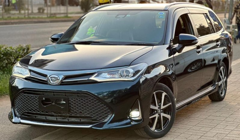 
								Toyota Fielder WXB full									