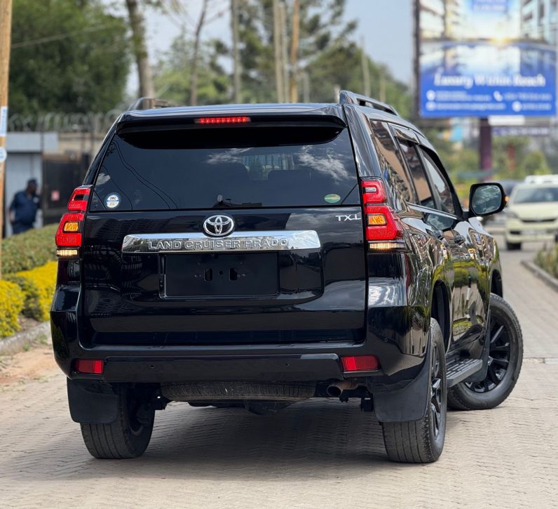 
								Toyota LandCruiser Prado TX-L full									