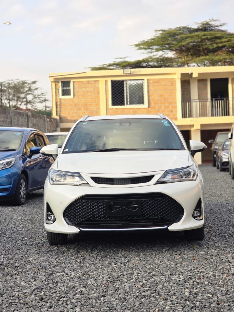 
								Toyota Fielder WXB full									