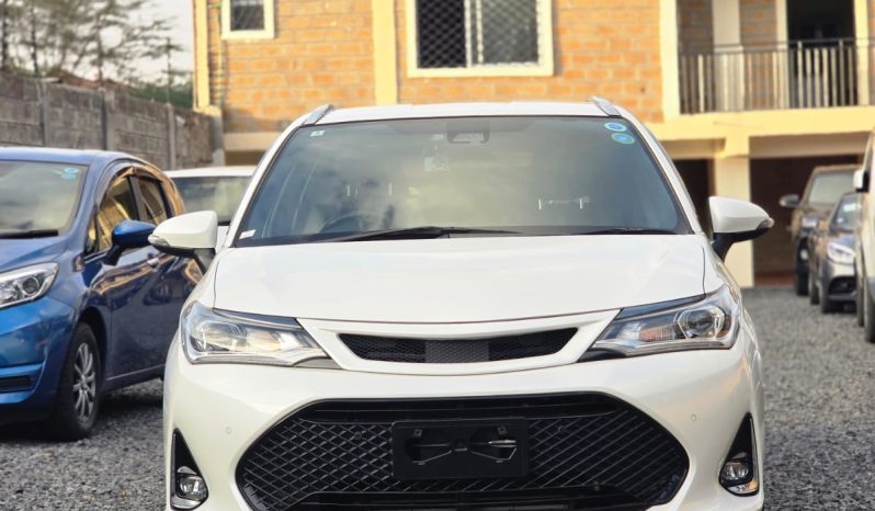 
								Toyota Fielder WXB full									