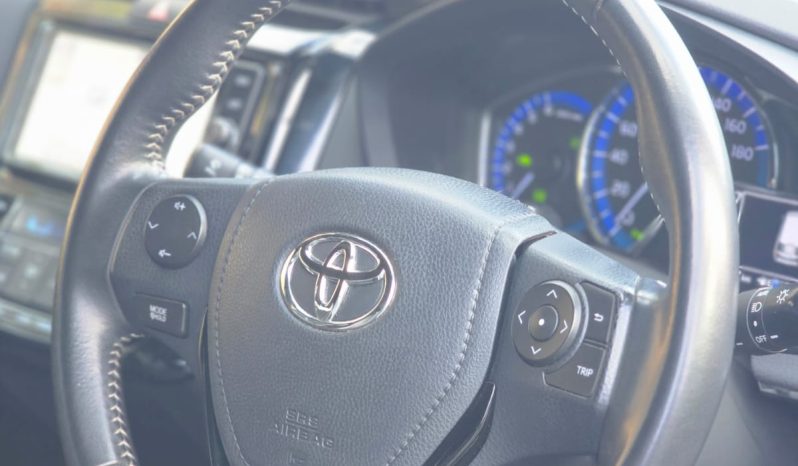 
								Toyota Fielder WXB full									