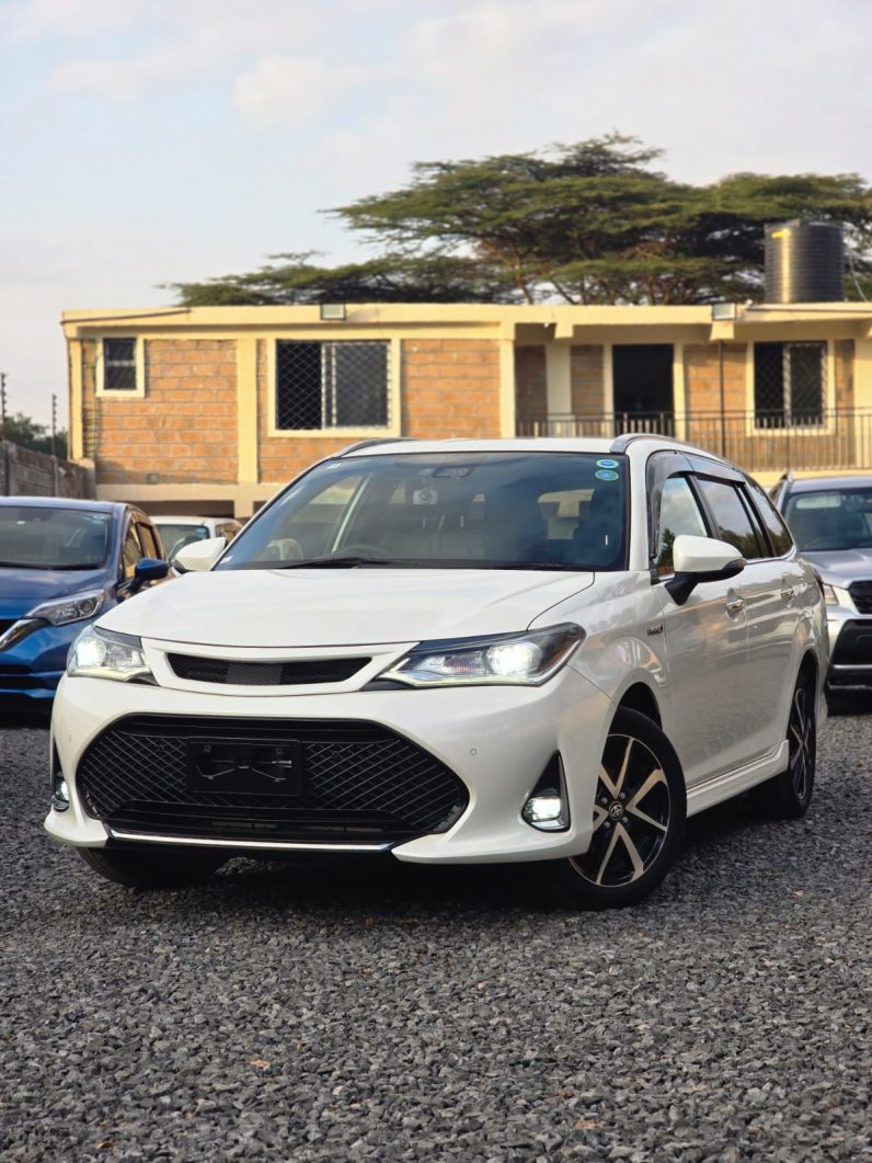 
								Toyota Fielder WXB full									