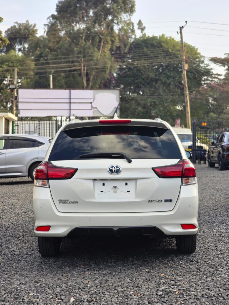 
								Toyota Fielder WXB full									