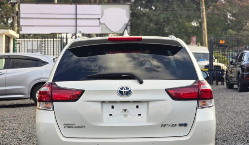 
								Toyota Fielder WXB full									