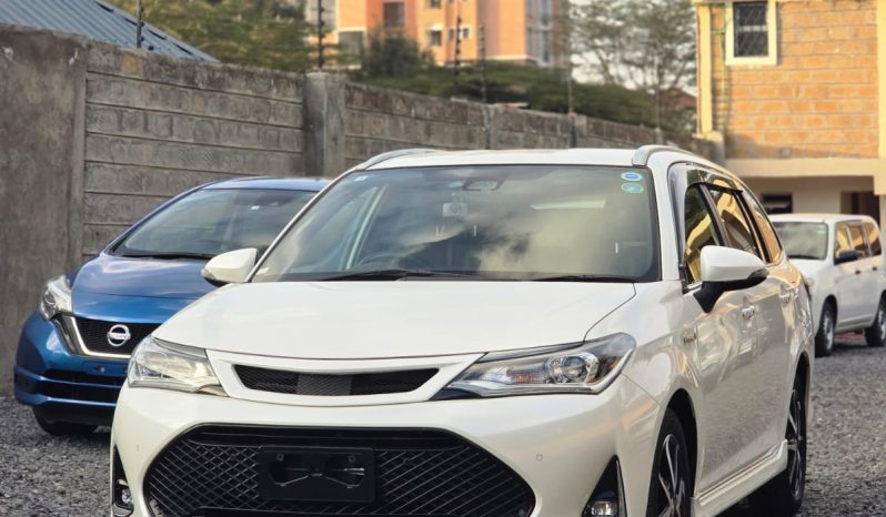 
								Toyota Fielder WXB full									