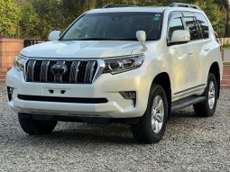 Toyota Landcruiser Prado TX