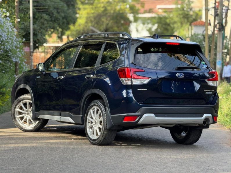 
								Subaru Forester e-Boxer full									