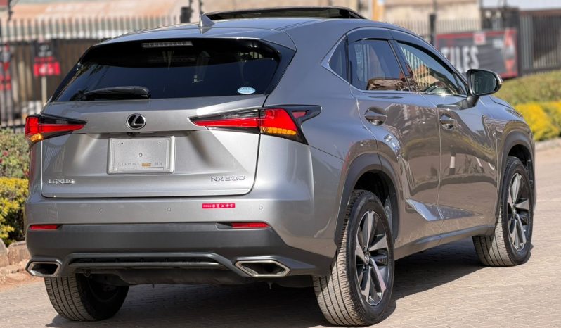 
								Lexus NX300 full									