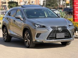 Lexus NX300