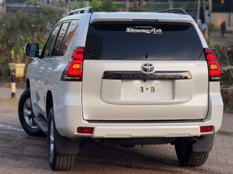 
								Toyota Land Cruiser Prado TX-L full									