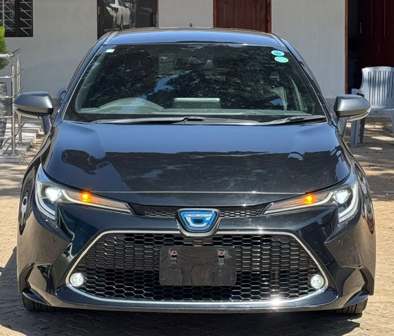 
								Toyota Corolla Touring full									