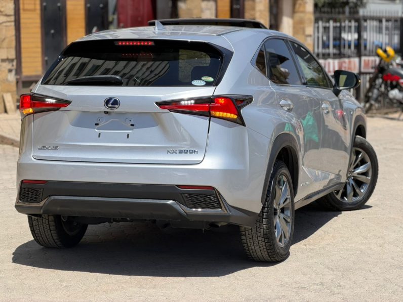 
								Lexus  NX300H full									