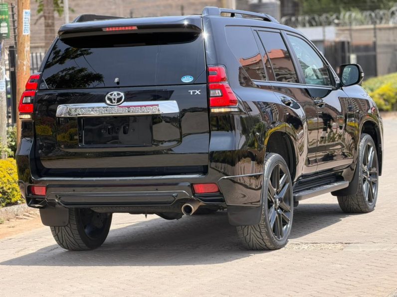 
								Toyota Land Cruiser Prado TX full									