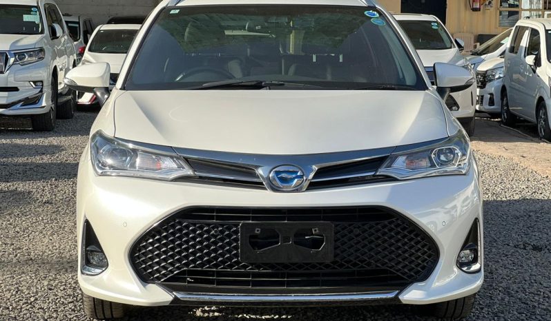 
								Toyota Fielder WXB full									