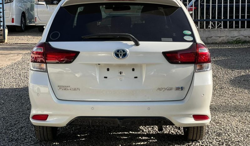 
								Toyota Fielder WXB full									