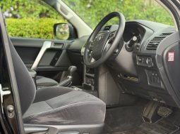 Land cruiser Prado TX