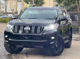Land cruiser Prado TX