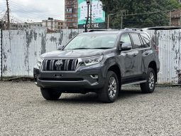 Land Cruiser Prado Kakadu