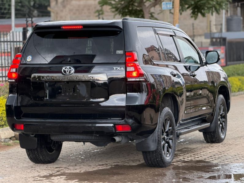 
								Toyota Land Cruiser Prado TX-L full									