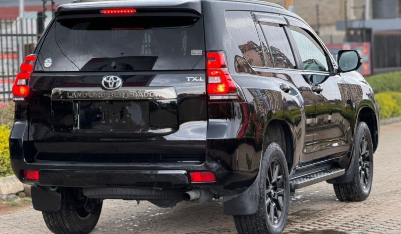 
								Toyota Land Cruiser Prado TX-L full									