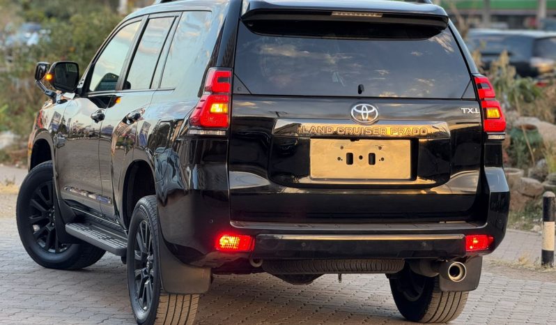 
								Toyota Land Cruiser Prado TXL full									