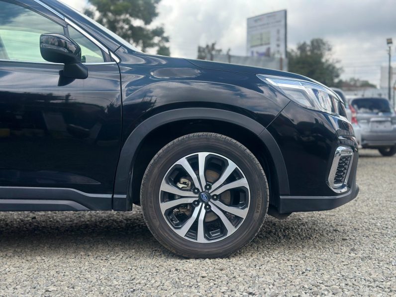 
								Subaru Forester full									