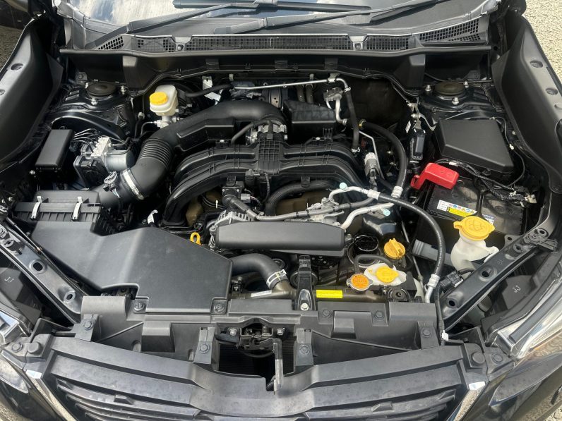 
								Subaru Forester full									