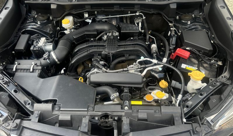 
								Subaru Forester full									