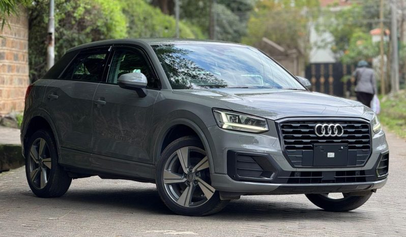 
								Audi Q2 full									