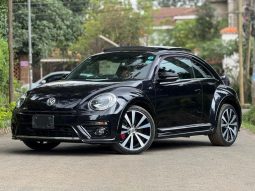 Voxwagen Beetle