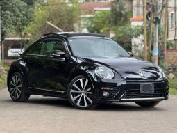 Voxwagen Beetle