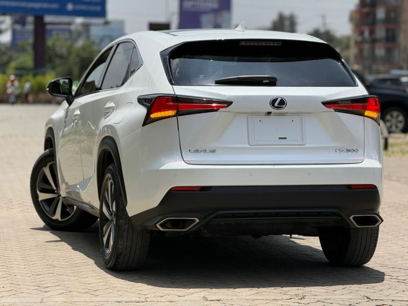 
								Lexus NX300 full									