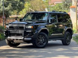 Land cruiser prado J250