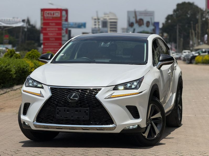 
								Lexus NX300 full									