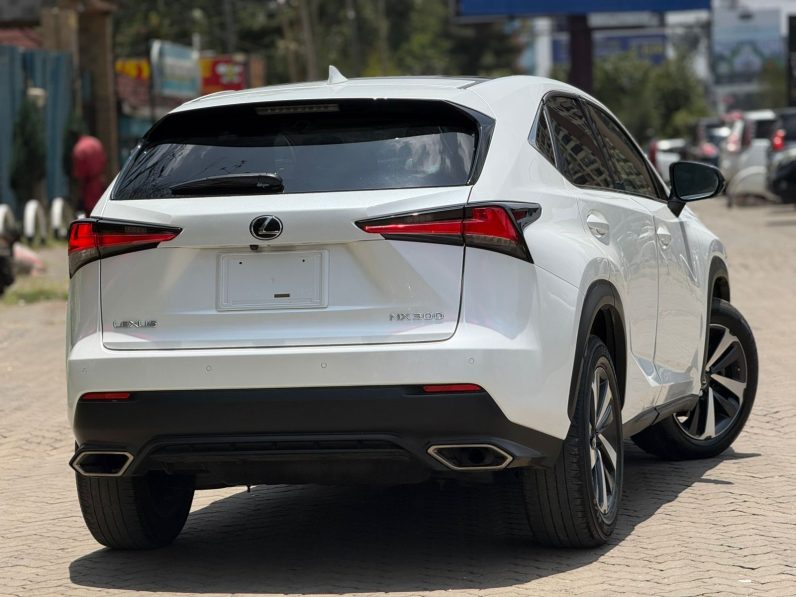 
								Lexus NX300 full									