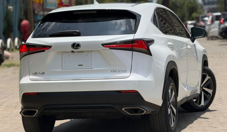 
								Lexus NX300 full									